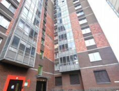  71590770:  2    ,   431